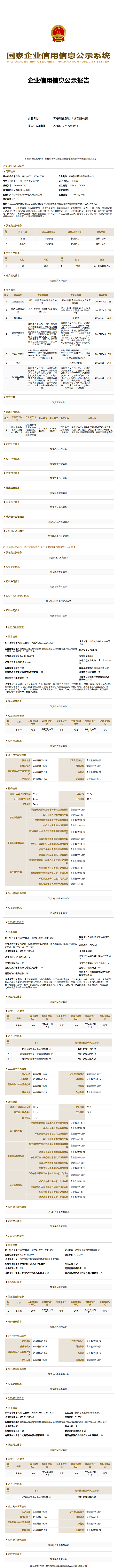 西安智讯策划咨询有限公司 (1)