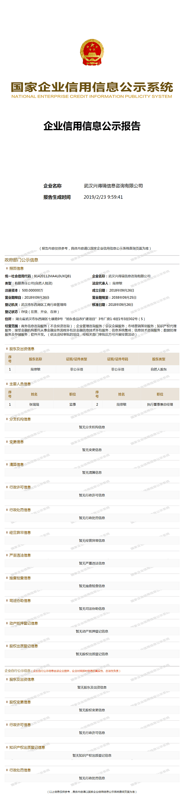 武汉兴得瑞信息咨询有限公司 (1)